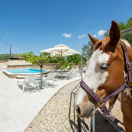 Holiday Home With Swimming Pool, Wellness, Extra Apartment And Horses Vrlika Exterior photo