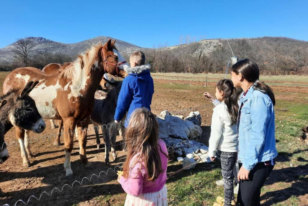 With Swimming Pool, Wellness, Extra And Horses Vrlika