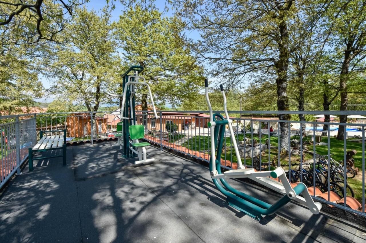 Vilă With Swimming Pool, Wellness, Horses And Donkeys