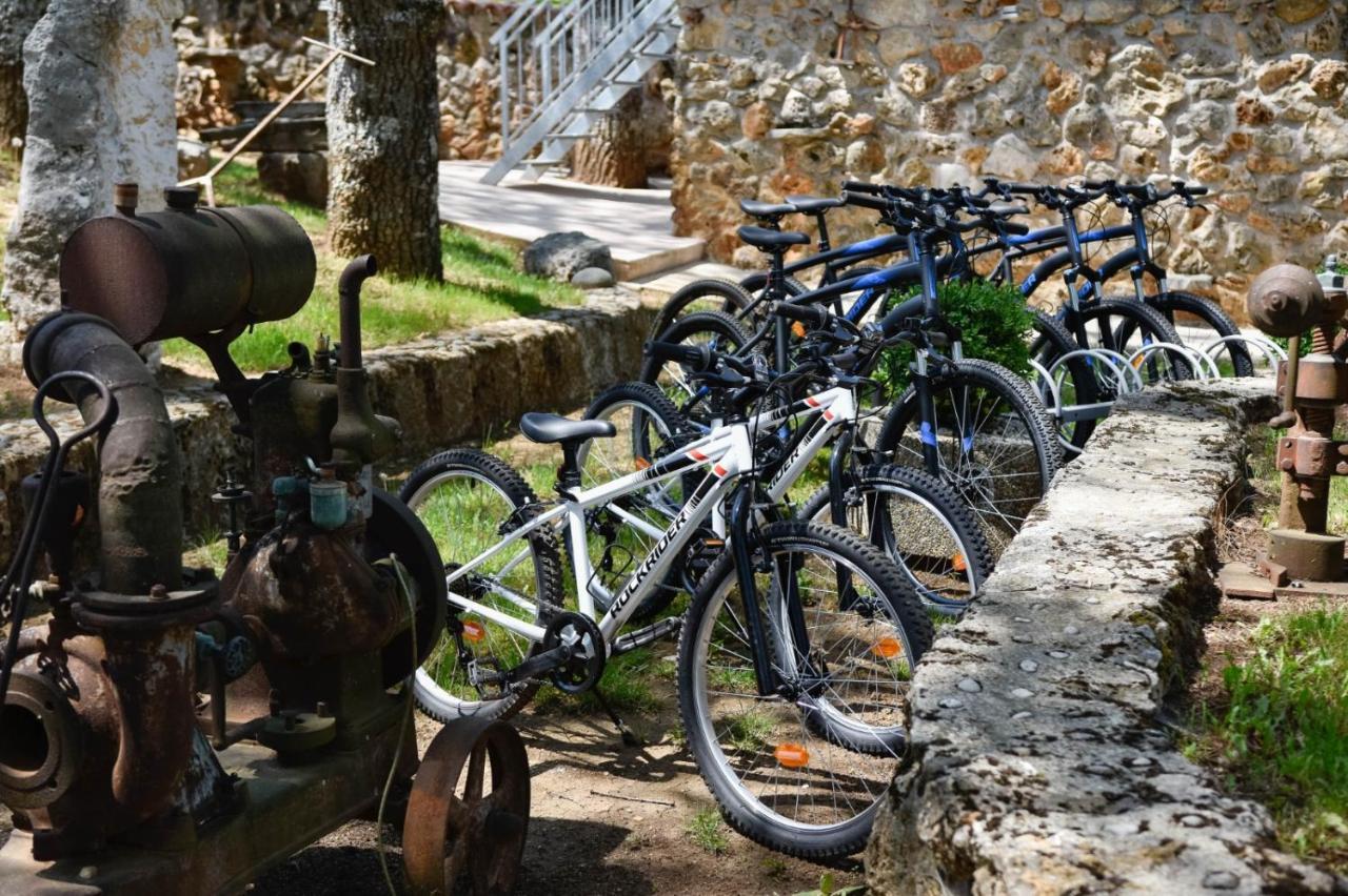 With Swimming Pool, Wellness, Horses And Donkeys Vilă Vrlika