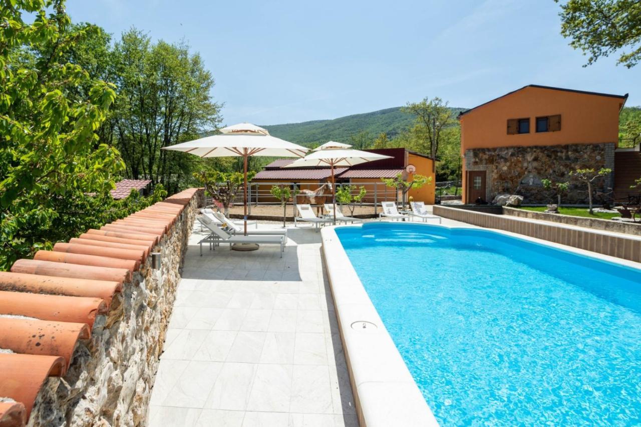 With Swimming Pool, Wellness, Horses And Donkeys Vilă