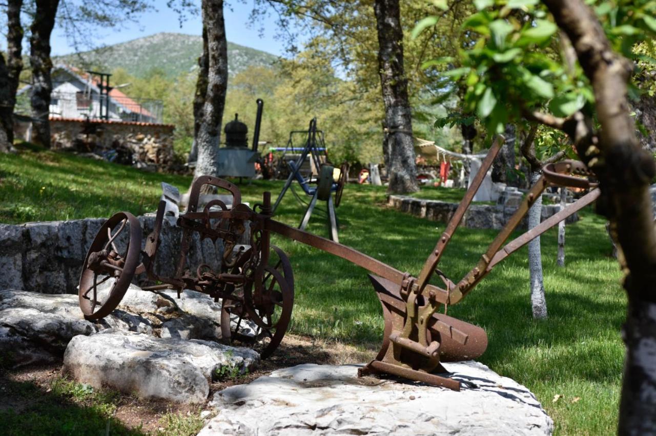 Vilă With Swimming Pool, Wellness, Horses And Donkeys