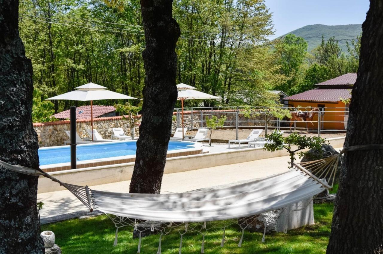 Vilă With Swimming Pool, Wellness, Horses And Donkeys *